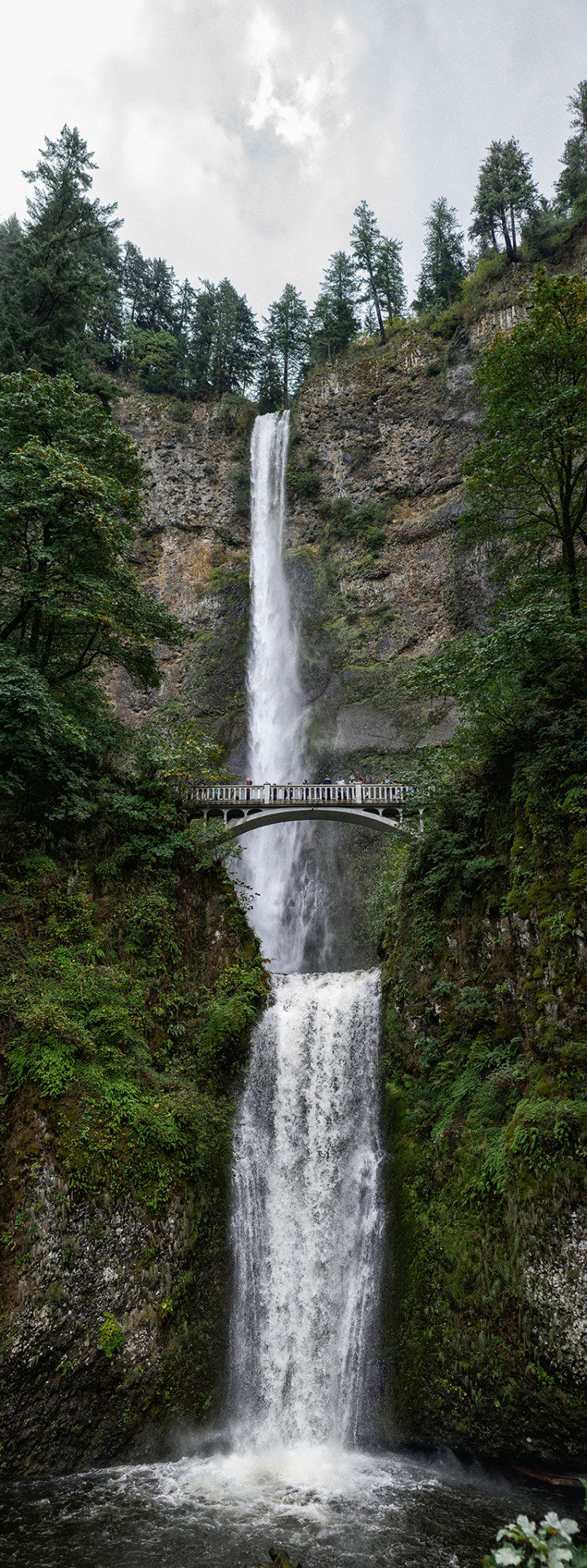 Vertical panorama of Multnomah Falls on a cloudy day. Oregon.