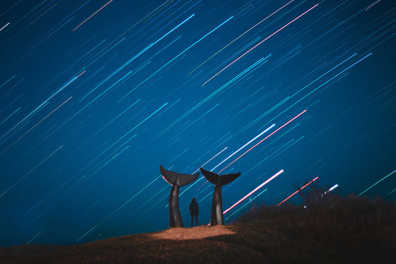 Night time long exposure of the whale tails/reverence. Burlington Vermont.